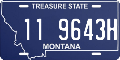 MT license plate 119643H