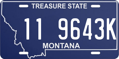 MT license plate 119643K