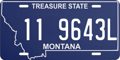 MT license plate 119643L