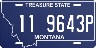 MT license plate 119643P