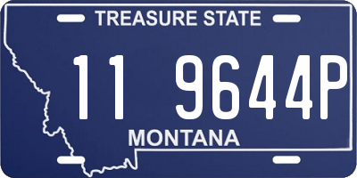 MT license plate 119644P