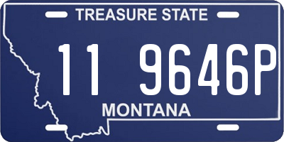 MT license plate 119646P