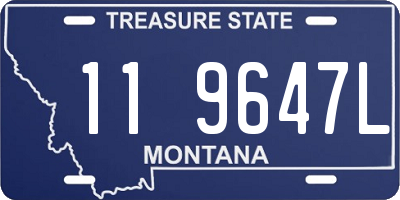 MT license plate 119647L