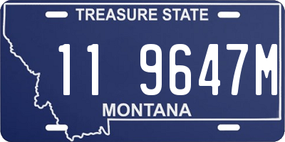 MT license plate 119647M