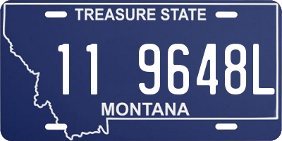 MT license plate 119648L