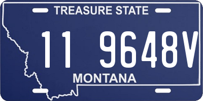 MT license plate 119648V