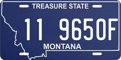 MT license plate 119650F