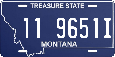 MT license plate 119651I