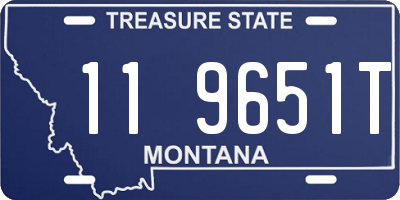 MT license plate 119651T
