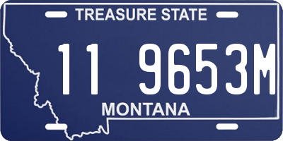 MT license plate 119653M