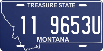 MT license plate 119653U