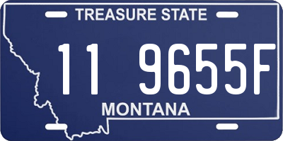 MT license plate 119655F
