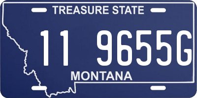 MT license plate 119655G