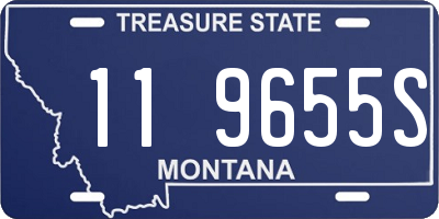MT license plate 119655S