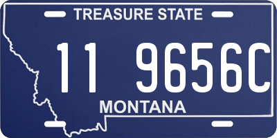 MT license plate 119656C