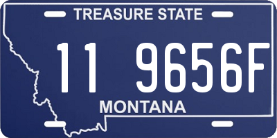 MT license plate 119656F