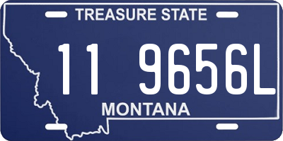 MT license plate 119656L