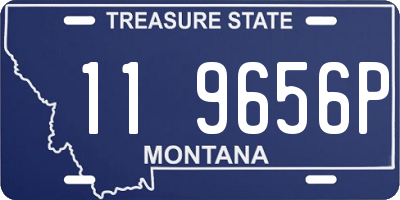 MT license plate 119656P