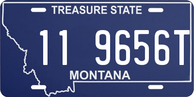 MT license plate 119656T