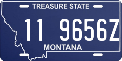 MT license plate 119656Z