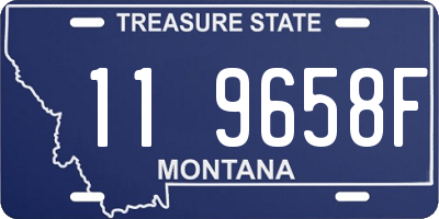 MT license plate 119658F