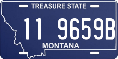 MT license plate 119659B