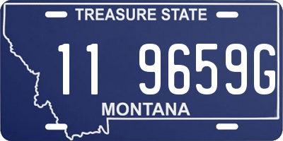 MT license plate 119659G