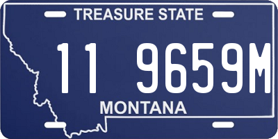 MT license plate 119659M