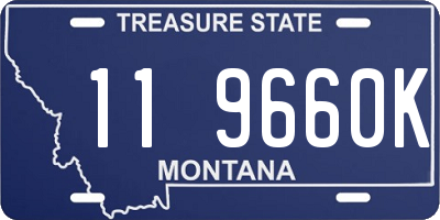 MT license plate 119660K