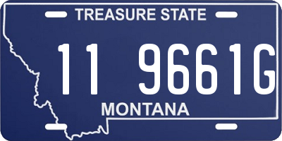 MT license plate 119661G
