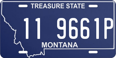 MT license plate 119661P