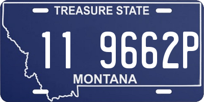 MT license plate 119662P