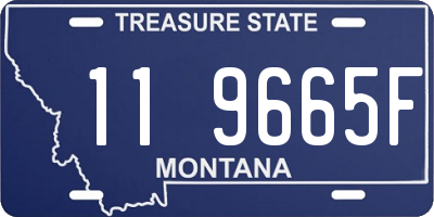 MT license plate 119665F