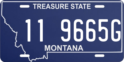 MT license plate 119665G