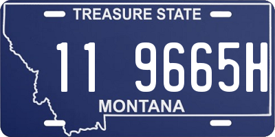 MT license plate 119665H