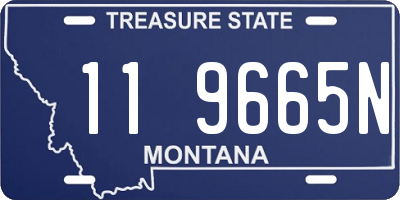 MT license plate 119665N