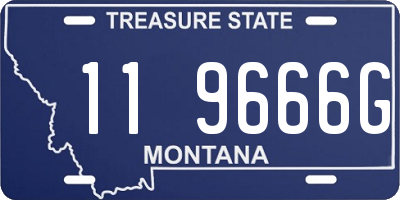 MT license plate 119666G