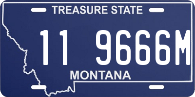MT license plate 119666M