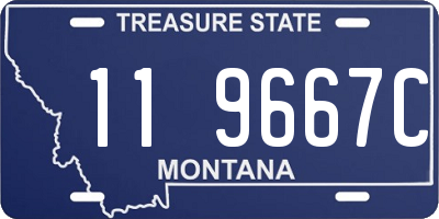 MT license plate 119667C