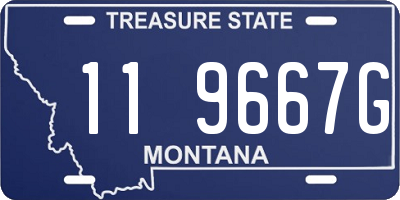 MT license plate 119667G