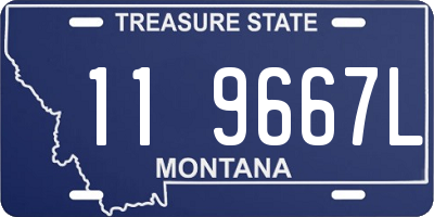 MT license plate 119667L