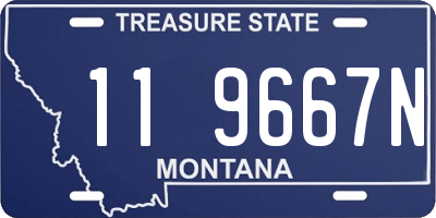 MT license plate 119667N