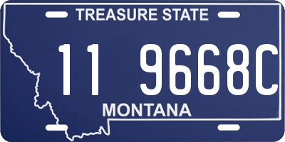 MT license plate 119668C