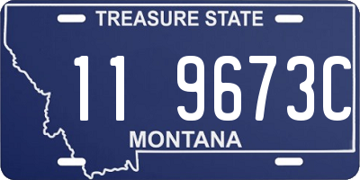 MT license plate 119673C