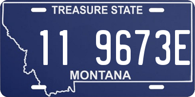 MT license plate 119673E