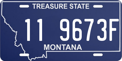 MT license plate 119673F