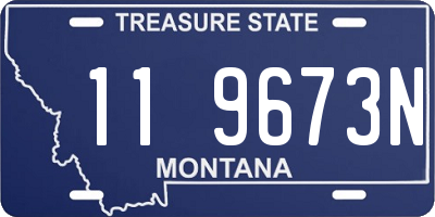 MT license plate 119673N