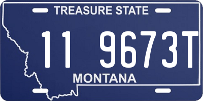 MT license plate 119673T