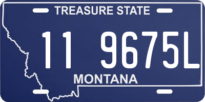 MT license plate 119675L