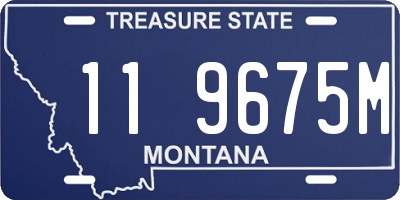 MT license plate 119675M